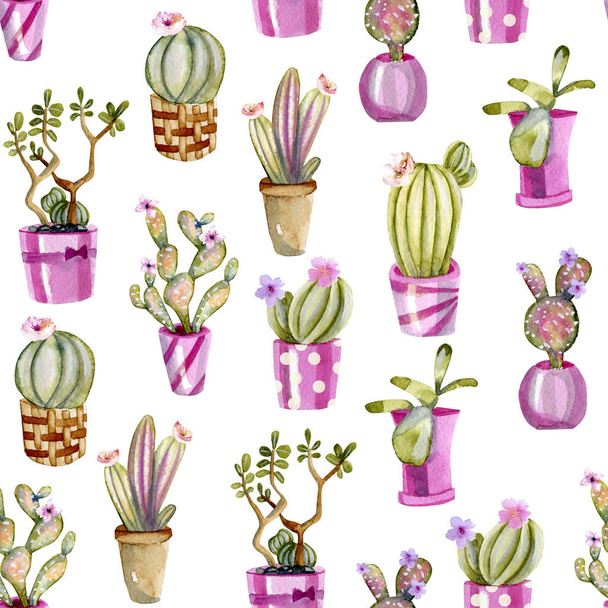 Watercolor cactuses in a pink pots seamless pattern, hand painted on a white background - Photo, Image