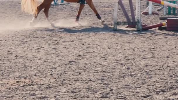 Futás a homokon a képzési terület, Közelkép a lábát a földön, lassított vágtató mén ló lábánál - Felvétel, videó