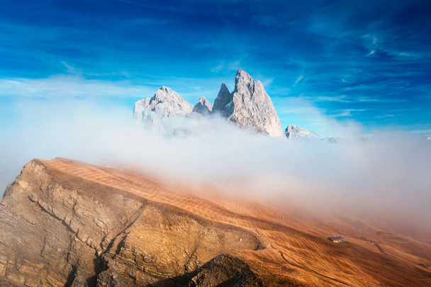 Widok z Secedy, góry Odle we mgle, nad chmurami. Niesamowite unikalne widoki w górach Dolomitów, Włochy, Europa. - Zdjęcie, obraz