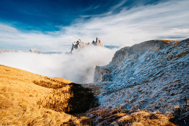 Вид с горы Сеседа, Одле в тумане, над облаками. Удивительные уникальные виды в горах Джильо, Италия, Европа. - Фото, изображение
