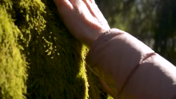 Mãos de homem e mulher estão tocando a parede do tapete de musgo no lado norte da árvore
 - Filmagem, Vídeo
