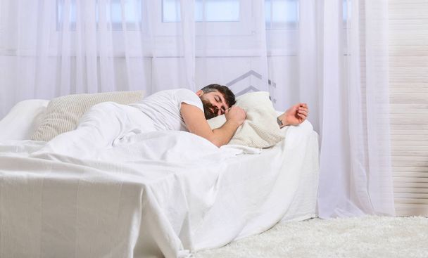 Guy on calm face sleeping on white sheets, pillow. Nap and siesta concept. Man laying on bed, covered with blanket, white curtains on background. Macho with beard sleeping, relaxing, having nap, rest - Photo, Image