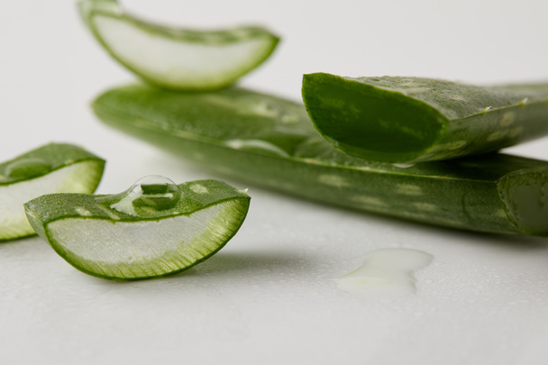 closeup shot of aloe vera leaves slices with juice  - Foto, imagen