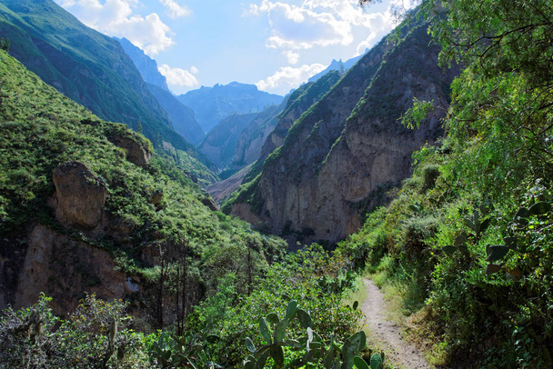 Colca Canyon in Arequipa Region - Фото, зображення