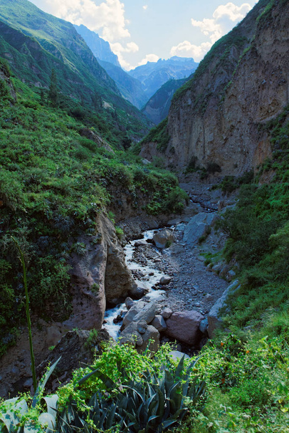 Colca Canyon in Arequipa Region - Photo, Image