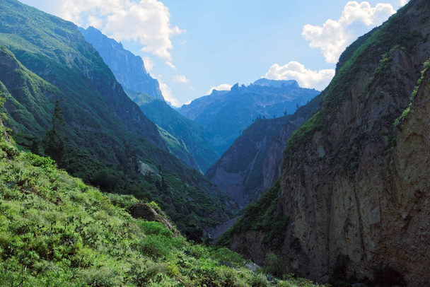 Colca Canyon in Arequipa Region - Zdjęcie, obraz