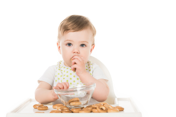 adorable baby boy eating bagels in highchair isolated on white background  - Photo, Image