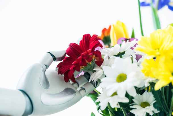 close-up view of robot touching beautiful flowers isolated on white - Photo, Image