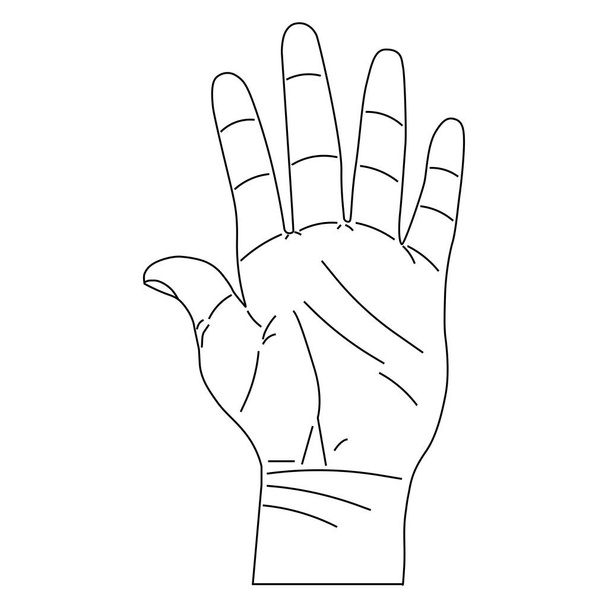 Hand in line style - Vector, Image