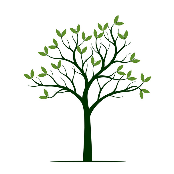 Green Spring Tree. Vector Illustration. - Vektor, Bild