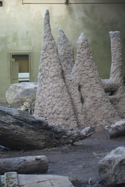 Montes de termitas
 - Foto, Imagen
