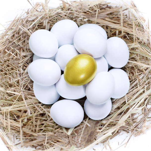 Golden egg in common nest - Фото, изображение