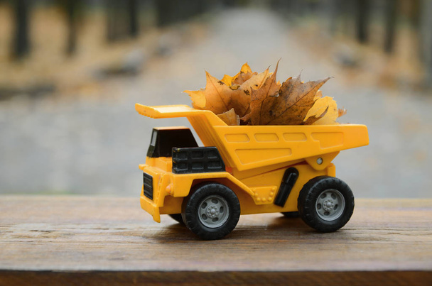 Koncepcja sezonowych zbiorów jesiennych opadłych liści jest przedstawiany w postaci ciężarówka zabawka żółty, ładowane z liści na tle parku jesień - Zdjęcie, obraz