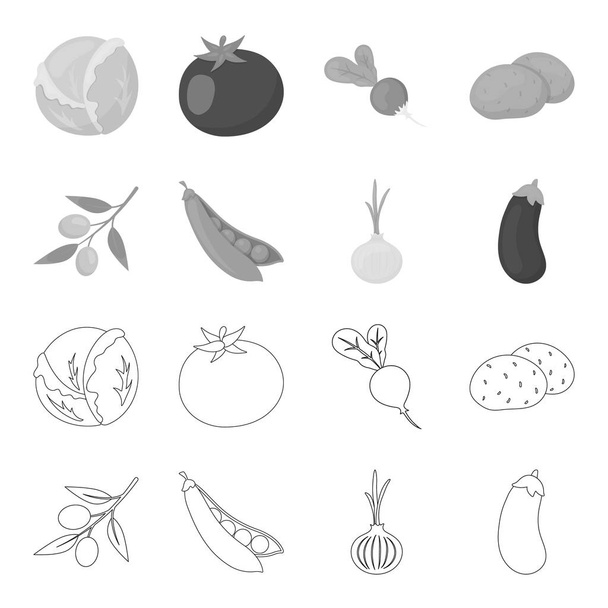 分岐、エンドウ豆、玉ねぎ、ナスにオリーブ。野菜は、アウトライン、モノクロ スタイル ベクトル シンボル ストック イラスト web でコレクションのアイコンを設定します。. - ベクター画像