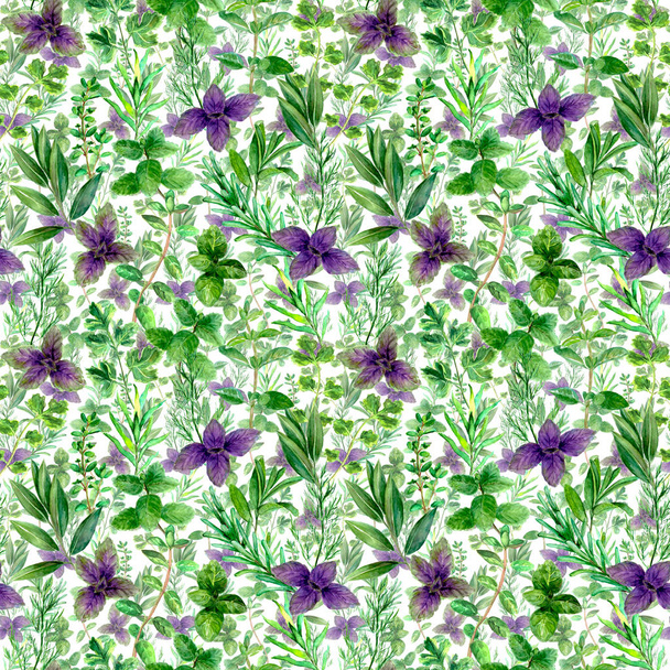 Herbs spices watercolor green seamless pattern - Foto, immagini
