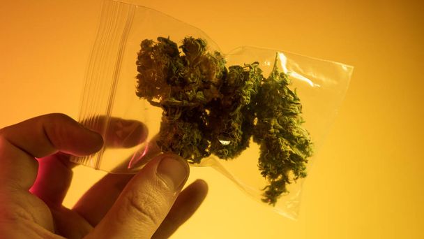 Une poignée de marijuana - gros plan sur les mauvaises herbes. bourgeons de marijuana à vendre
 - Photo, image