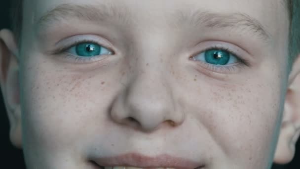 誠実な良い陽気な赤ちゃんの青い目金髪の少年そばかすのあるカメラに微笑みかける人の顔 - 映像、動画