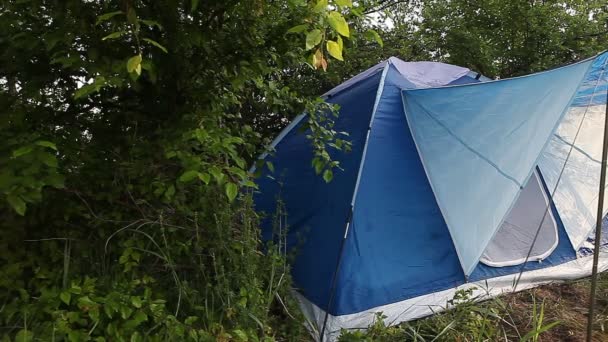 Tente touristique bleue installée dans la forêt
 - Séquence, vidéo