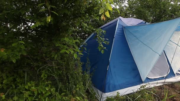 Namiot turystyczny niebieski w lesie - Materiał filmowy, wideo