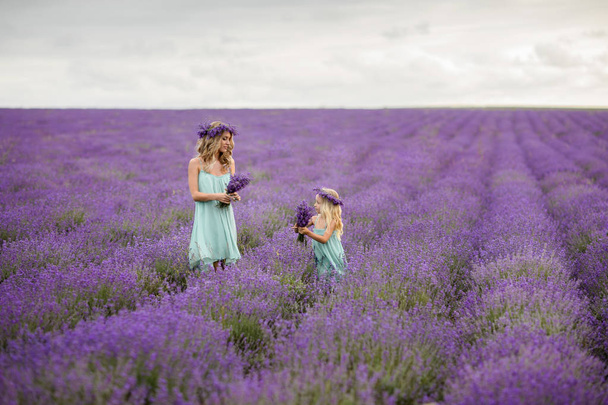 Happy family in a field of lavender - Фото, изображение