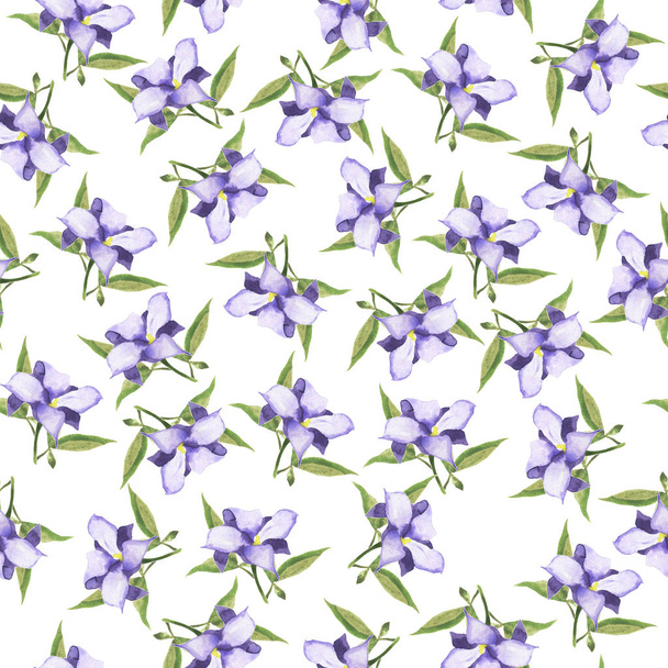 Seamless pattern with violet bellflowers and green leaves on white background. Hand drawn watercolor illustration. - Foto, immagini