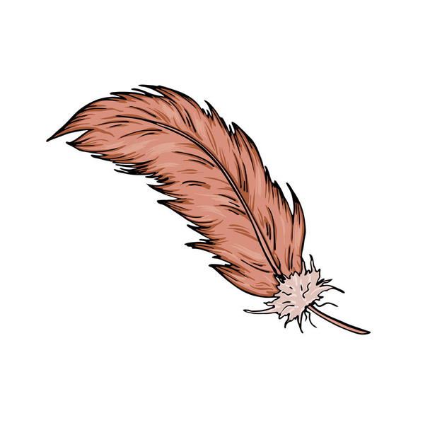 Cartoon brown fluffy feather isolated on white background. Hand drawn vector illustration. - Vector, Image