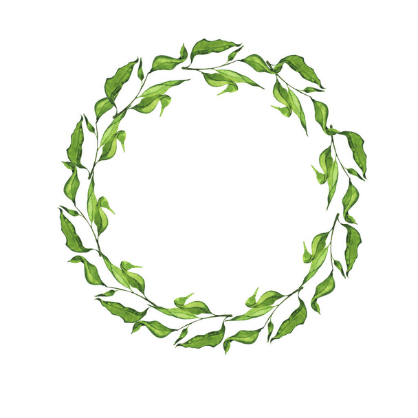 Green spring branch round frame isolated on white background. Hand drawn watercolor illustration. - Photo, image