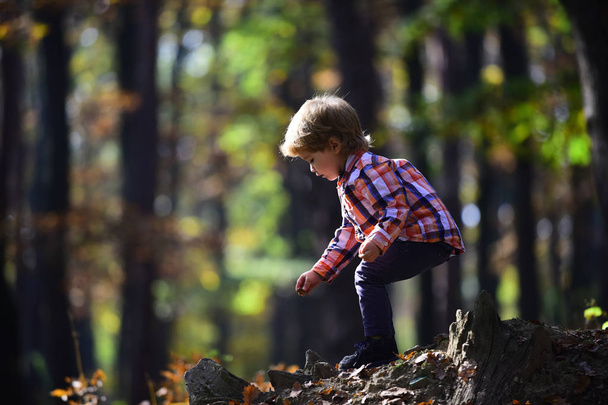 Child play in autumn forest. Child on fresh air outdoor - Foto, afbeelding