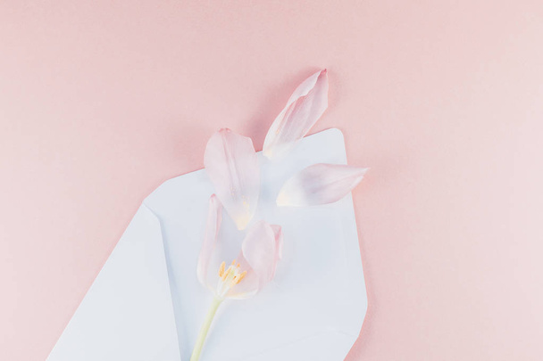 開いた紙の封筒に花びらでピンクのチューリップ - 写真・画像