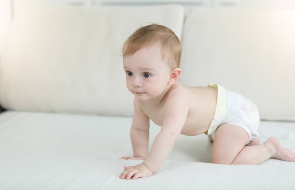 Adorable 10 months old baby boy in diapers crawling on bed - Valokuva, kuva