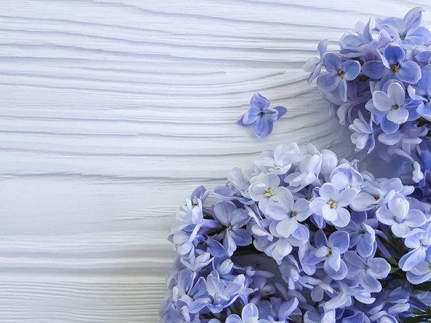 fresh lilac bouquet on white wooden  - Photo, Image