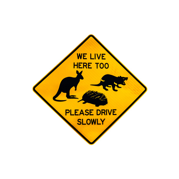 Waarschuwingsbord voor Wildlife kruising - Foto, afbeelding