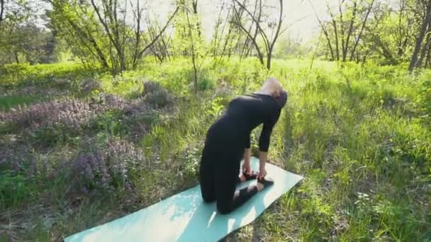 Mladá těhotná žena dělá jógu venku. - Záběry, video