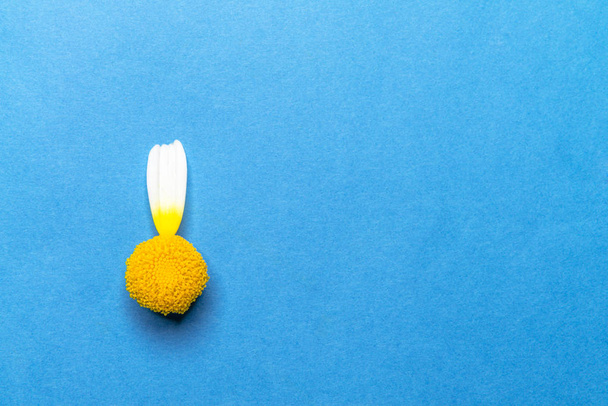 Mavi bir arka plan üzerinde yapraksız çiçek - Fotoğraf, Görsel
