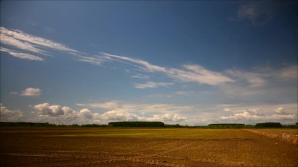 Afbeelding van veld en heldere blauwe hemel; timelapse - Video