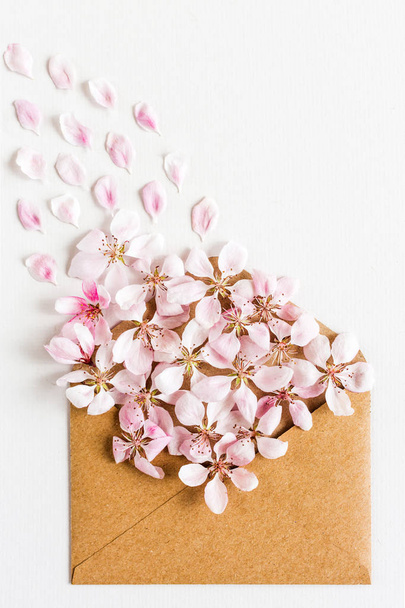 close up of opened craft paper envelope full of spring blossom sakura flowers on white background. top view. concept of tenderness. Flat lay. - Фото, зображення