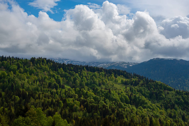 Зеленые горные склоны покрытые лесами
 - Фото, изображение