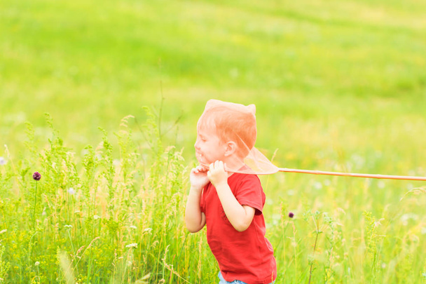 Adorable Caucasian kid playing with scoop-net on the meadow on warm and sunny summer or spring day. - Fotoğraf, Görsel