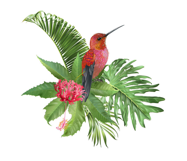 Kolibrin trooppinen järjestely
 - Vektori, kuva
