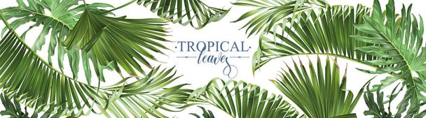 Tropical leaves web banner - Vektör, Görsel