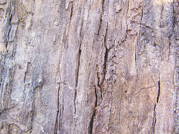 Wooden background with cracks. Textured board with cracks - Photo, Image