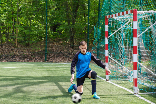 Goalkeeper catches the ball. Stadium goalie sports play ground game, grass soccer keeper man, outdoorsc ompetition, - Фото, зображення
