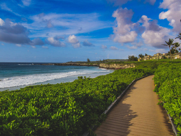 Secluded Oneloa Beach Path - Photo, image