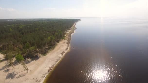 Aerial View of Kiev Reservoir. Beautiful landscape. Flight over forest beach. - Video, Çekim
