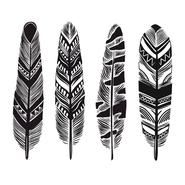 Cartoon  feathers with decorative ornate - Διάνυσμα, εικόνα
