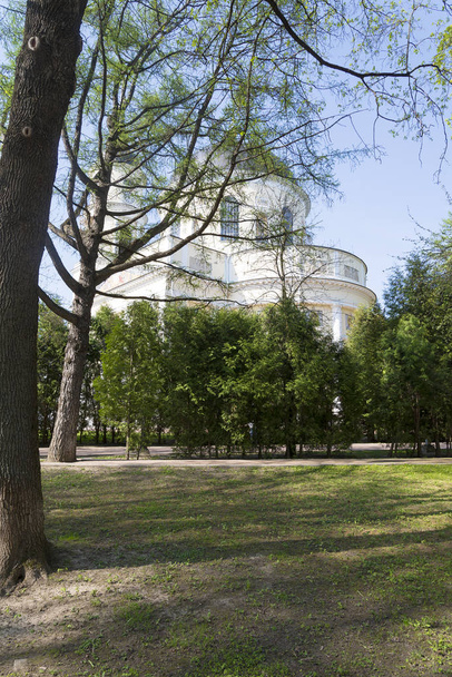 Russian Church from the trees. - Photo, Image