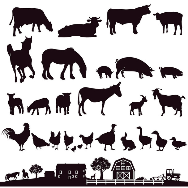農場の動物とファームの図. - ベクター画像