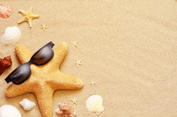 Zabawny rozgwiazdy i muszle na plaży latem z piasku - Zdjęcie, obraz