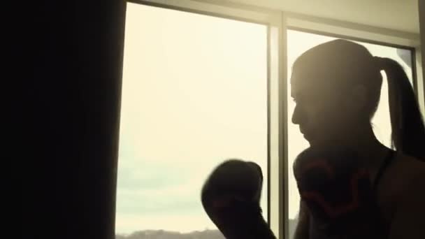 Boxerský trénink v tělocvičně - Záběry, video