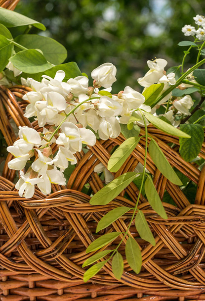 Wooden wicker basket and spring bouquet - Photo, Image